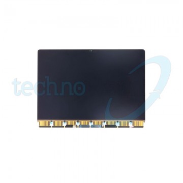 Display MacBook Pro 16" (A2485)